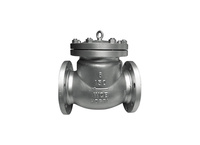 more images of ZHMWS-A1 WCB Body Check Valves Flanged End