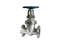 more images of ZMSO-D1 Stainless Steel Flanged Gate Valves
