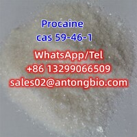 Procaine hcl CAS 59-46-1 C13H20N2O2