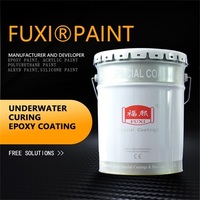 more images of Underwater Curing Epoxy Coating