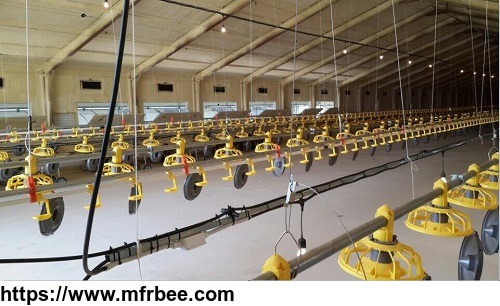 automatic_chicken_layer_feeding_and_drinking_line_system_poultry_equipment_for_chicken_farm