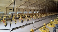 more images of Automatic Chicken layer feeding and drinking line system Poultry Equipment For Chicken Farm