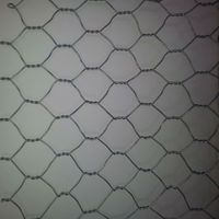 gabion box/ hexagonal wire netting