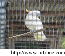 the_most_popular_birdcage_welded_bird_cage