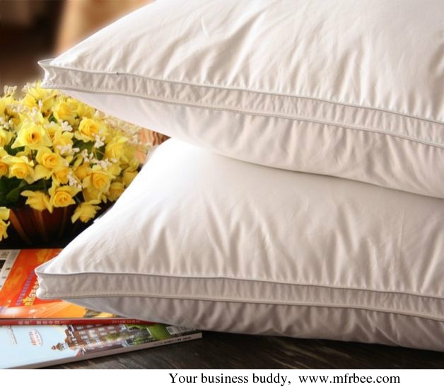 goose_feather_cushion_inner