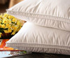 more images of Goose Feather cushion inner