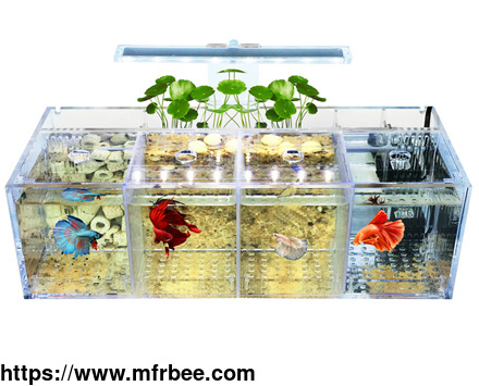 acrylic_aquarium_and_acrylic_fish_tank