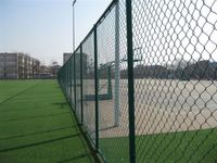 PVC coated galvanzied chain link fence mesh for sale