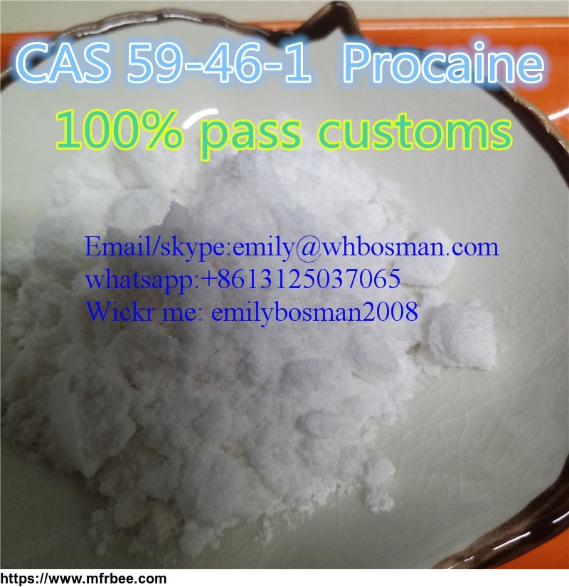 cas_59_46_1_in_stock_procaine_manufactory_emily_at_whbosman_com_buy_procaine_powder_from_china_factory