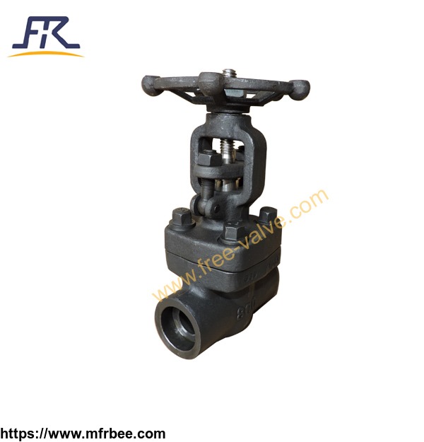 forged_carbon_steel_a105n_class_800_gate_valve