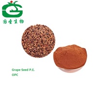 Natural Fruit Extract Grape Seed P. E Capsules with High Quality 95%OPC
