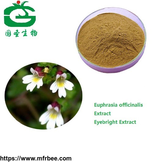 natural_euphrasia_officinalis_extract_eyebright_extract_powder