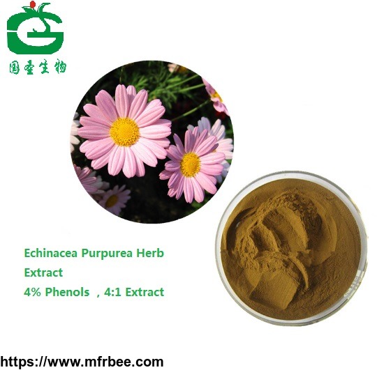 natural_cichoric_acid_echinacea_purpurea_extract_powder4_percentagepolyphenol