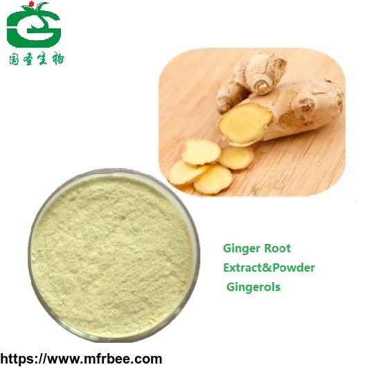 ginger_root_extract_powder_ginger_root_p_e_5_percentage