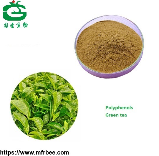 green_tea_extract_powder_tea_polyphenol50_percentage_green_tea_p_e_with_high_quality