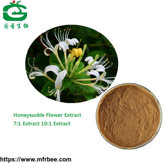 high_quality_honeysuckle_flower_extract_with_chlorogenic_acid_honeysuckle_flower_p_e