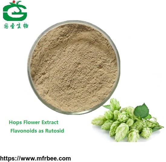 natural_humulus_lupulus_extract_hop_flower_extract_powder_solvent_extraction_0_35_percentage_flavonoids_as_rutosid