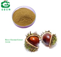 more images of Horse Chestnut Extract/Semen Aesculi Extract/Aesculus Hippocastanum Extract Aescin Powder 10:1