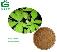 Pure Natural Organic Kava Kava Extract Kavalactones 30%