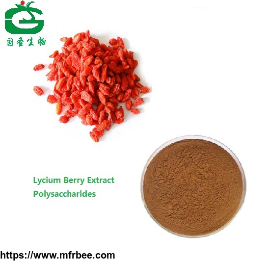 organic_polysaccharide_sgoji_berryextract_wolfberry_extract_lycium_berry_extract_50_percentage_polysaccharides
