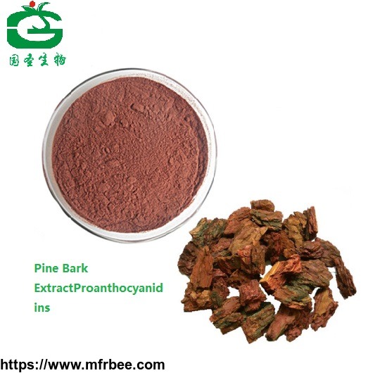pine_bark_extract_powder_procyanidine_95_percentageopc