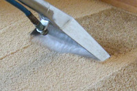 Sparkling Carpet Cleaning Melbourne
