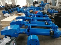 more images of vertical pump