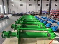 more images of vertical pump