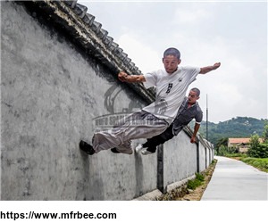 shaolin_warrior_monks_and_traditional_chinese_martial_arts_and_kung_fu_masters_in_china