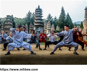 different_martial_arts_styles_teaching_in_qufu_shaolin_kung_fu_school