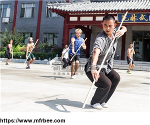 experience_and_review_of_international_kung_fu_students_training_in_china