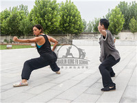 baji training in Qufu Shaolin Kung Fu School