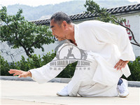 Xingyi training in Qufu Shaolin Kung Fu School