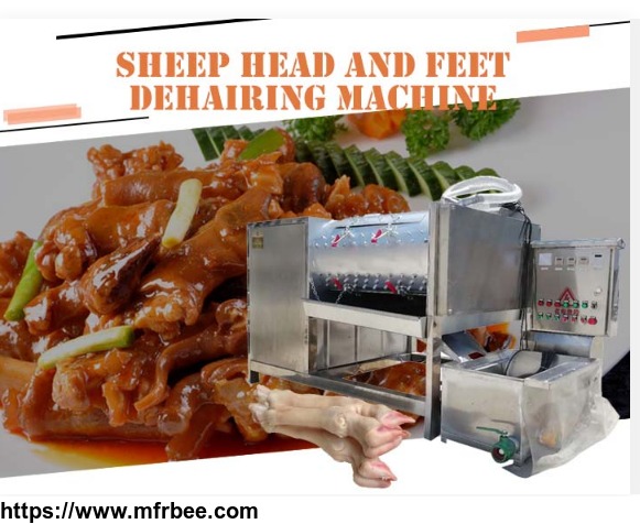 Sheep head and feet hair removing machine