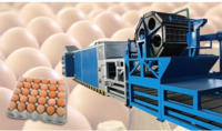 more images of Egg tray making machine