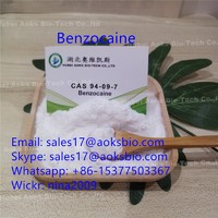 Hot Sale! Benzocaine Manufacture CAS NO.94-09-7