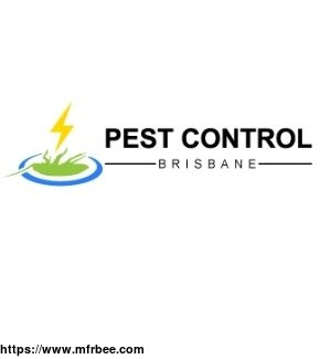 termite_control_brisbane