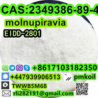 2349386-89-4 powder Molnupiravir online with custom clearance Top China supplier