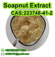 Soapnut Extract Sapindus saponin 40%-70%