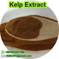 Kelp Extract
