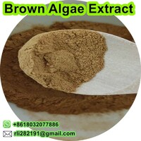 Brown Algae Extract
