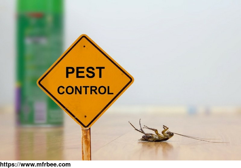 preventive_pest_control_brisbane