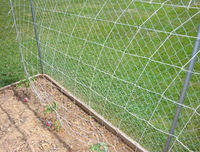 more images of Nylon Trellis Netting Supports Plant Grow Vertically