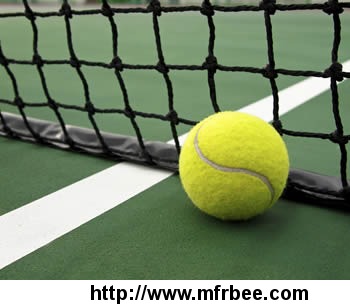 ball_netting_used_in_the_matches_and_training