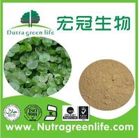 more images of Centella Asiatica Extract