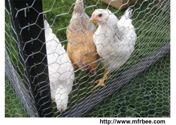 hexagonal_wire_mesh_chicken_wire_mesh