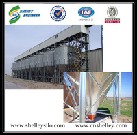 more images of Chicken House Hot Galvanized Grain Silo for storage