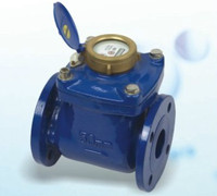 Removable Cold Water Meter