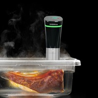 High Quality Waterproof IPX7 Sous Vide Precise Slow Cooker Thermal Circulator Wifi Sous Vide Cooker