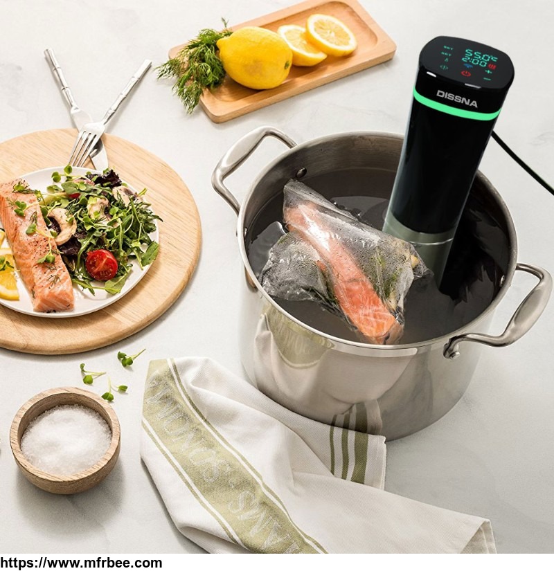 high_quality_slow_cooker_wholesale_sous_vide_immersion_circulator_with_ptc_heating_element